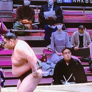 大相撲で話題の美女 石垣島 南島茶屋ｚ