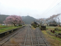 古い駅舎と桜と～たびきっぷで飛騨、美濃乗り歩き５～ 2019/07/19 12:00:00