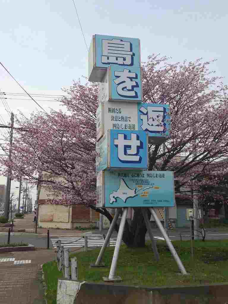 最東端の桜へ～道東桜紀行10～
