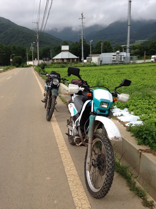 初ダート②