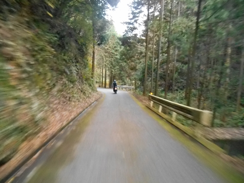 林道をさがせ