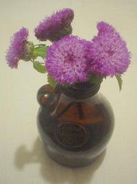 切花向きの花 2014/02/13 21:26:45