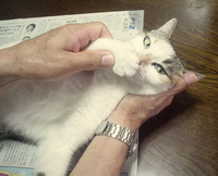 絶賛風邪ひき中 2013/12/05 21:51:01