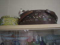 かご猫 2013/03/12 21:10:02