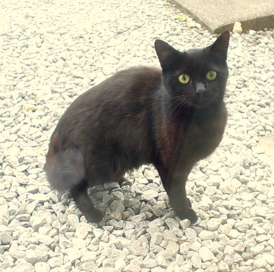 風邪