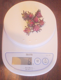ローゼル 2014/01/06 22:45:08