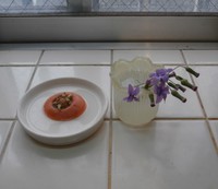 今年の人参の花 2016/02/17 21:37:41