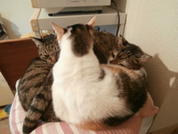 冬のはじまり 2014/12/05 23:09:29
