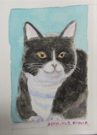 猫を描く　その２