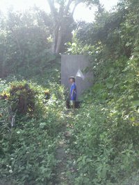 自分たちの住む家を造る〜紅型ばかりやっている自由な嫁の自由な日記vol.2〜