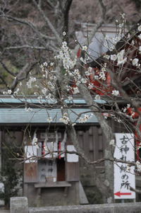 3月の三線教室のお知らせ 2014/03/08 09:08:57