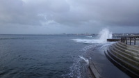台風後撃沈&微妙 （´＿`；） 2013/10/13 09:52:39