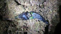 マイポイント今季初釣行も撃沈　(+_+) 2019/12/16 23:07:36