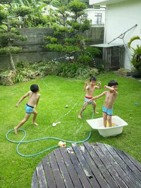 ニャー!! 2013/06/30 09:40:54
