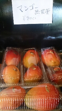 【マンゴー販売中 本店にて】 2015/07/17 11:09:27