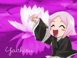 やちる姫