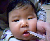 2010年04月01日
