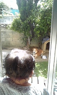 2連休 2010/04/16 18:04:48