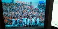 2010年04月03日