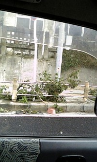 遅めのタイフーン情報・・・。。。 2011/06/03 19:35:10