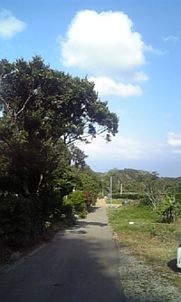 お仕事♪お仕事 2012/06/03 13:51:31