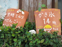 八重山旅行２