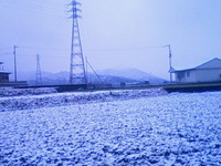初雪