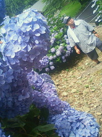 神山森林公園 2010/07/02 22:52:16