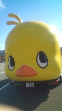 ラヴリーな車