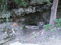 銘苅エイサー