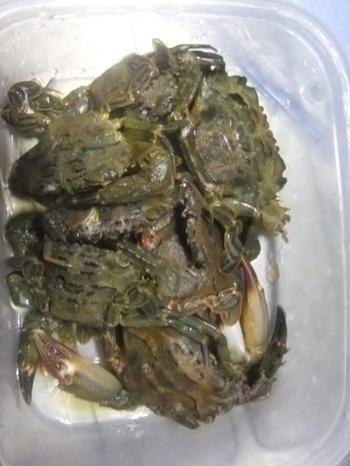 継続は力なり・・・・・・