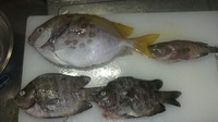 久しぶり！！ 2011/06/06 21:06:42