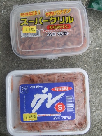 更新しま～す