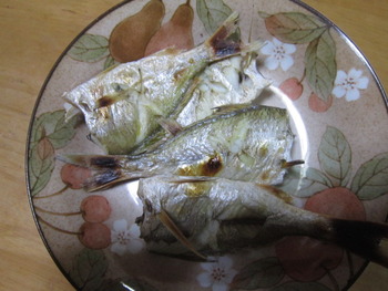 継続は力なり・・・・・・