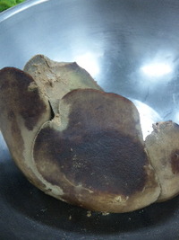 肝かわ… 2011/04/01 18:22:37