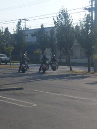 宇良メシヤー 2011/04/03 16:13:36
