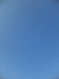青空と髑髏と僕と 2011/04/24 07:18:06
