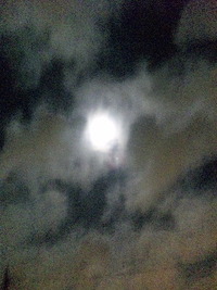 いざ！良い！ 2011/09/15 05:29:14