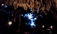 カンガラーの谷ライブ 2010/05/24 00:35:26