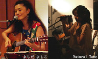 本日★よしだよしこライブ 2009/12/12 09:58:49