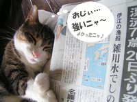 漂流おじぃ、無事救助ニャ！ 2011/07/01 12:41:46