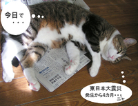 震災から４か月ニャ・・・ 2011/07/11 13:01:26