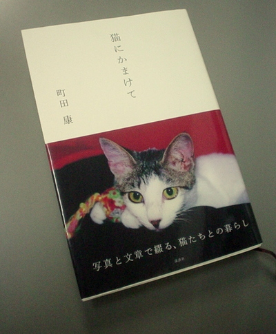 「猫のあしあと」　町田康