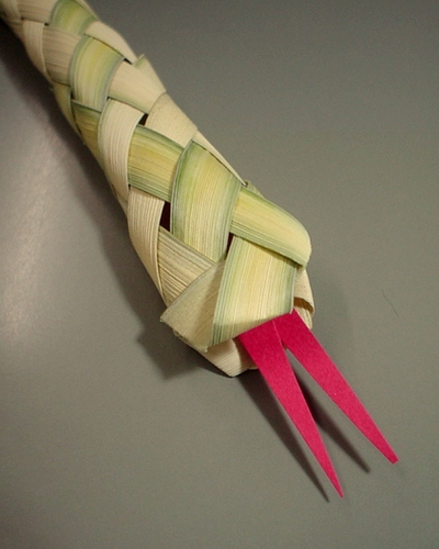 スプリットタン