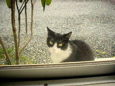 ムクムクちゃんが来た！