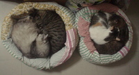 ２対２ 2013/01/10 22:34:20