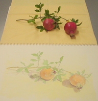 絵画教室ご案内