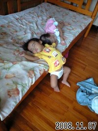軟体… 2008/11/07 14:04:10