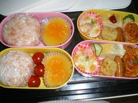 遠足のお弁当 2009/05/01 08:28:47
