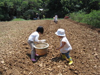 こども園の畑を作りました 2009/08/01 21:07:21
